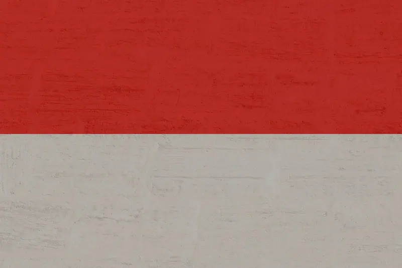 Tekstur merah putih bendera Indonesia sebagai latar halaman tentang kami